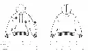 Cruiser 2.0 Sizeguide.webp