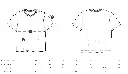 Sizeguide Stella Muser DTS.webp
