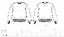 Sizeguide Changer 2.0.webp